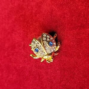 Beetle Brooch - Vintage